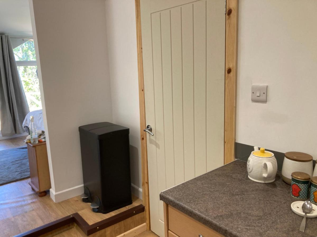 Honey Bee Cabin Llandysul Exterior photo