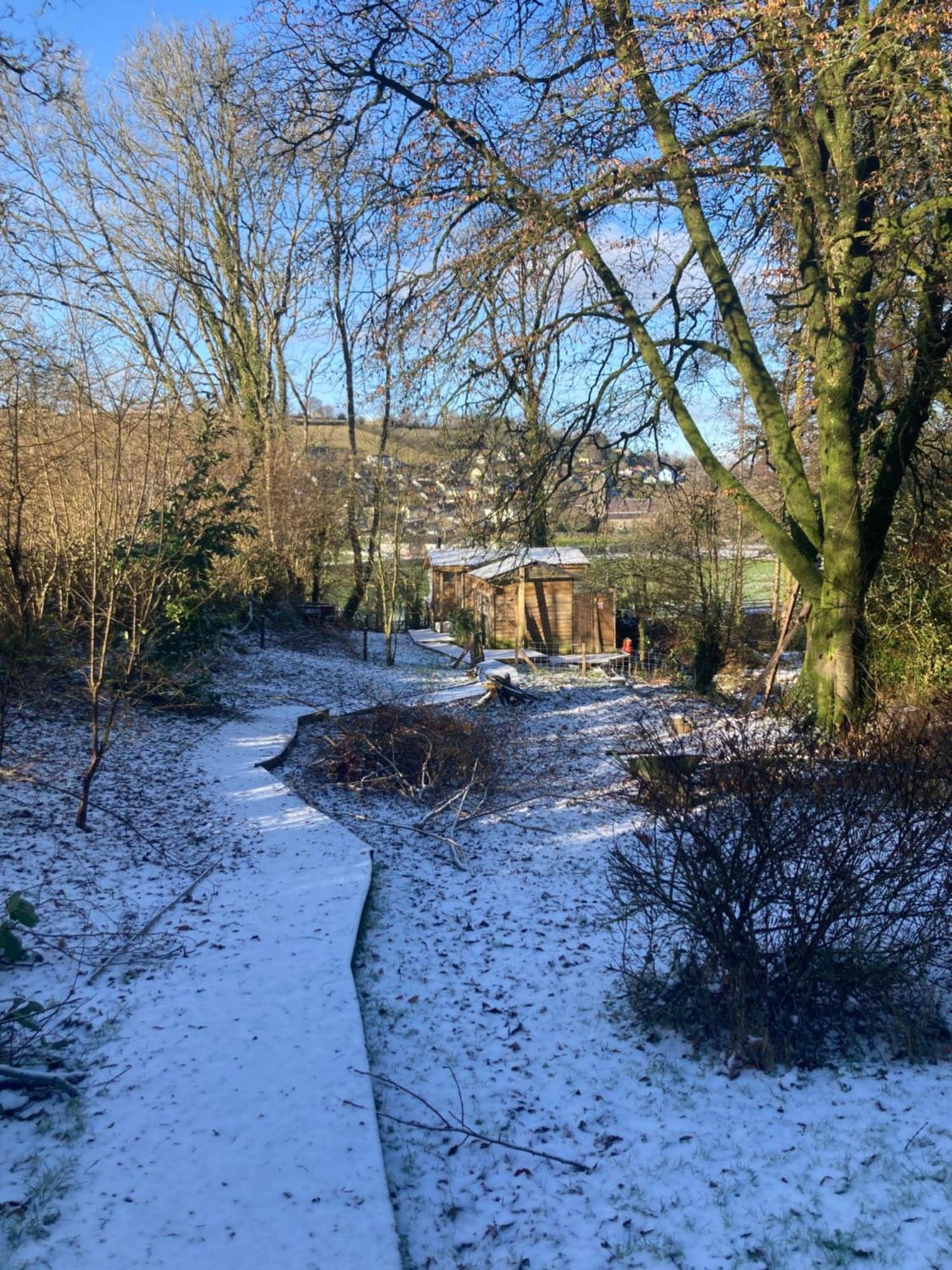 Honey Bee Cabin Llandysul Exterior photo